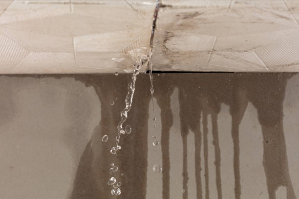 Professional Water Extraction technician working in Edwards, MS